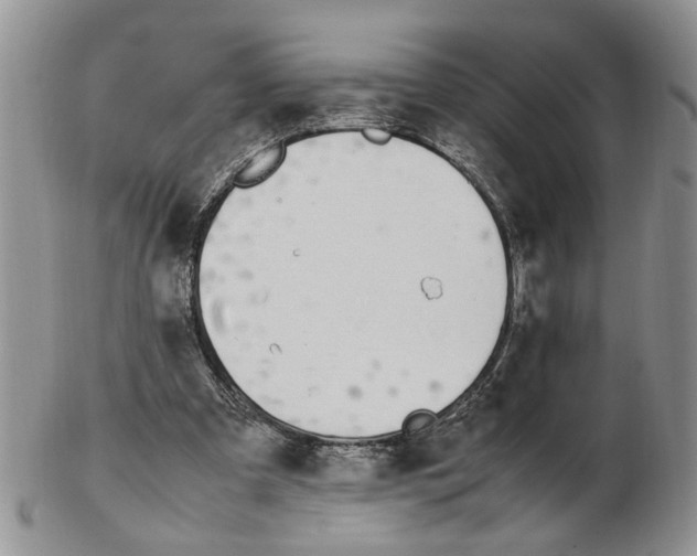 X0000102250297200808221359
