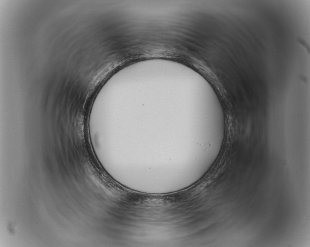 X0000102250298200808221359