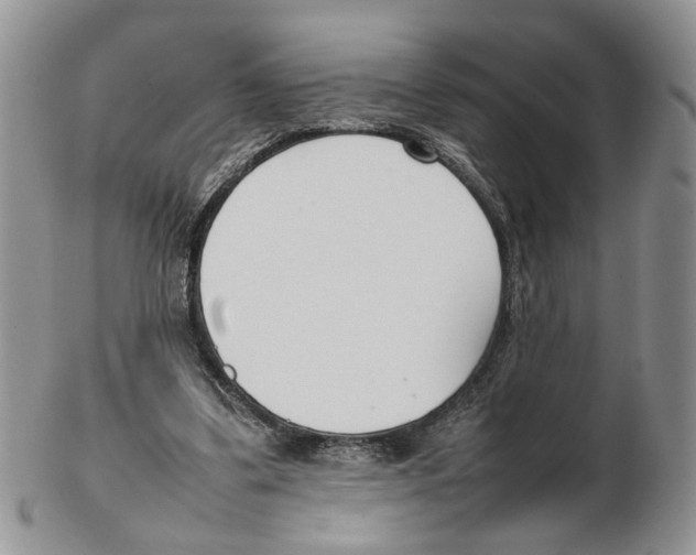 X0000102250299200808221359