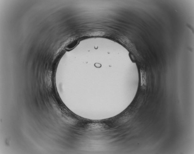 X0000102250300200808221359