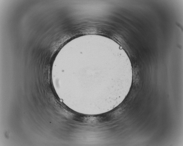X0000102250301200808221359