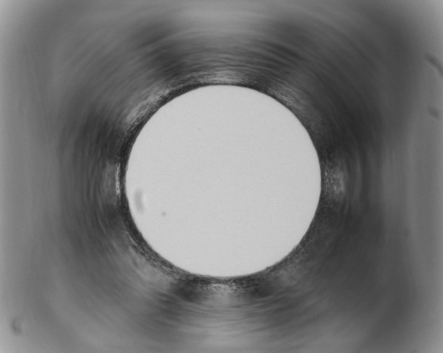 X0000102250302200808221359