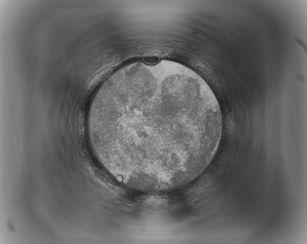X0000102250303200808221359