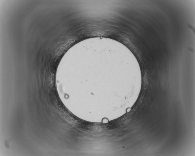 X0000102250305200808221359