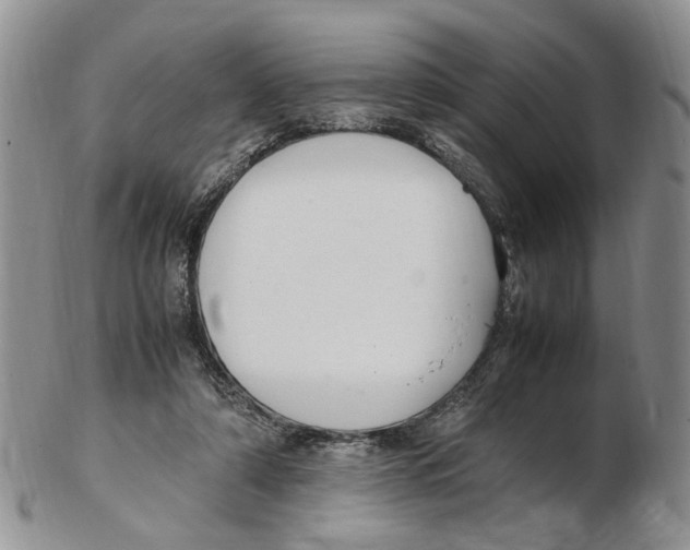 X0000102250306200808221359