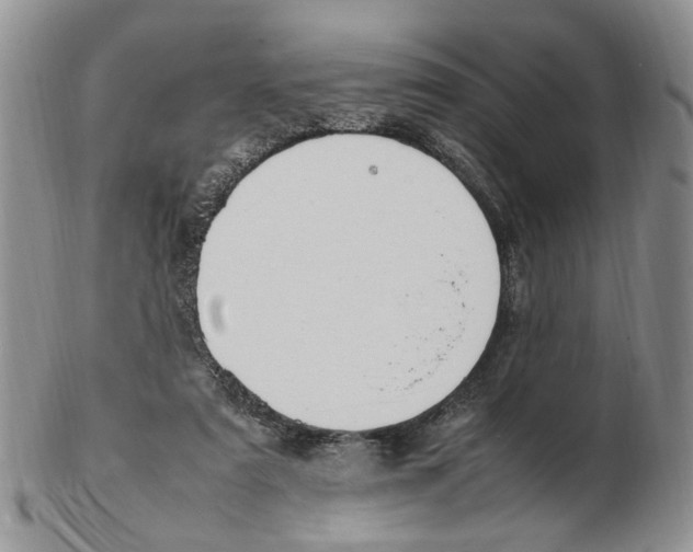 X0000102250307200808221359
