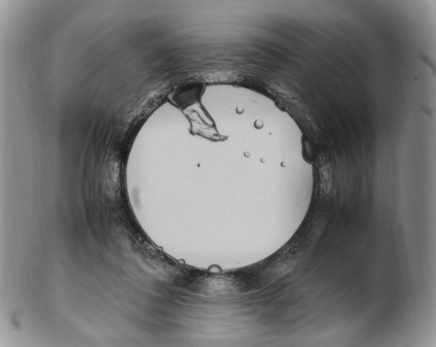 X0000102250308200808221359