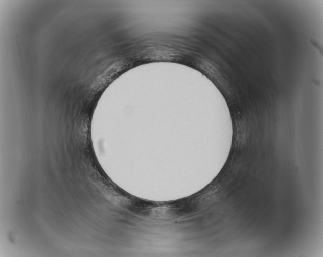X0000102250309200808221359