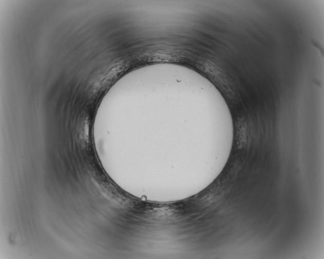 X0000102250310200808221359