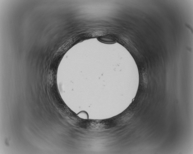 X0000102250311200808221359
