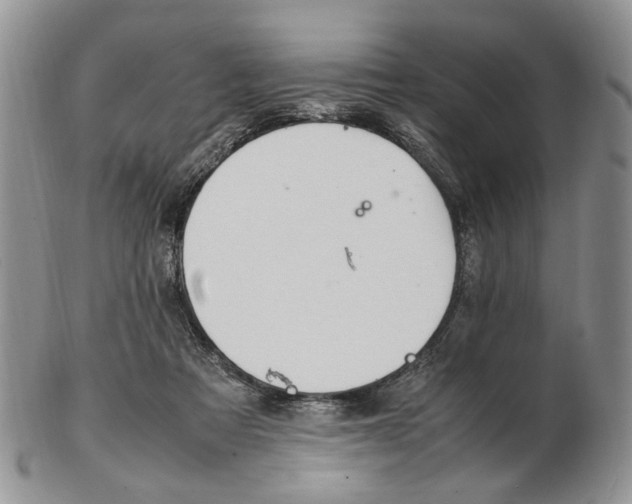 X0000102250313200808221359