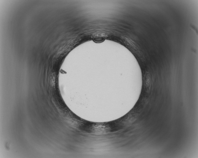 X0000102250315200808221359