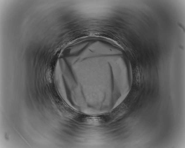 X0000102250316200808221359