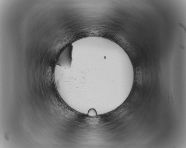 X0000102250318200808221359