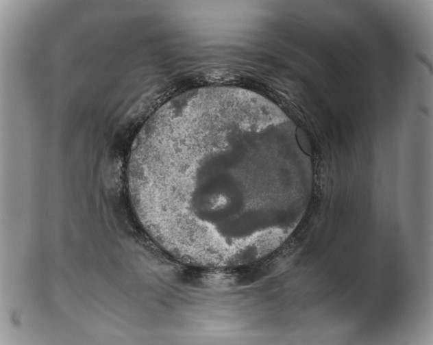X0000102250319200808221359