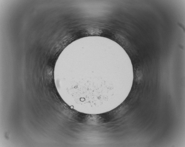 X0000102250321200808221358