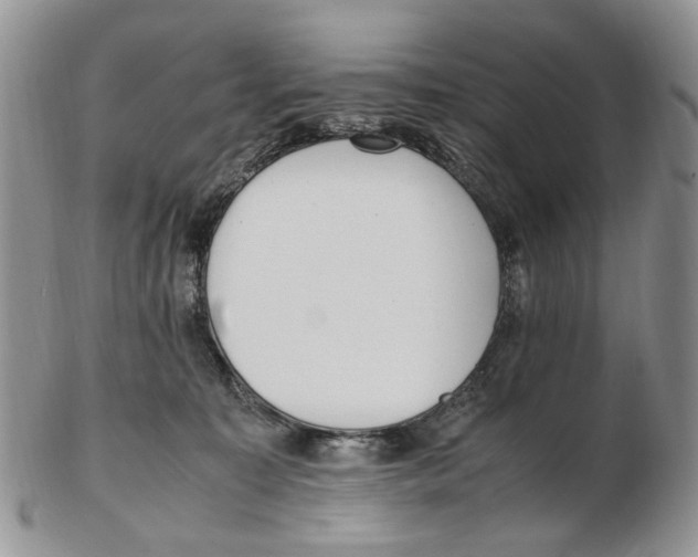 X0000102250323200808221358