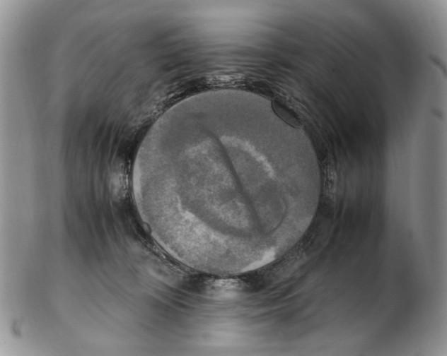 X0000102250324200808221358