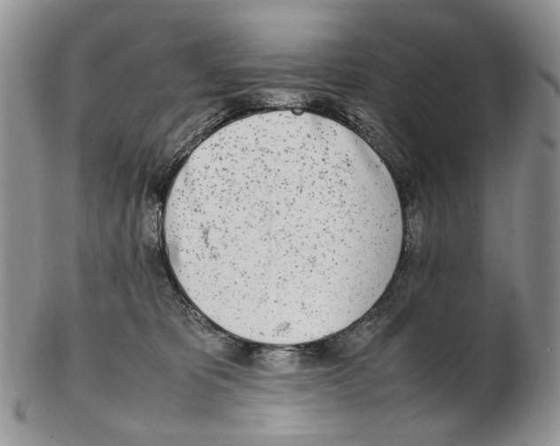 X0000102250325200808221358