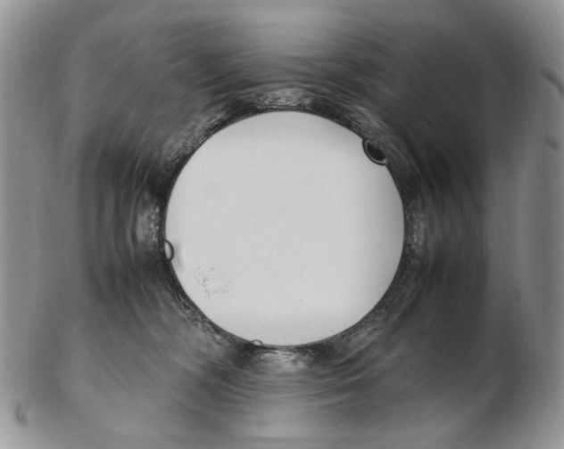 X0000102250326200808221358