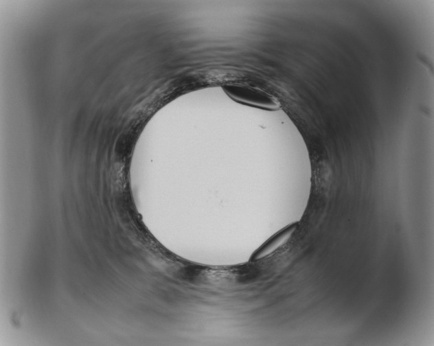 X0000102250327200808221358