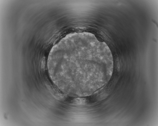 X0000102250328200808221358
