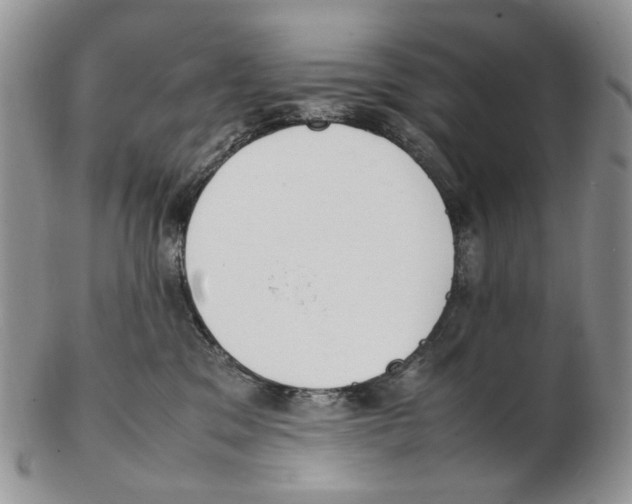 X0000102250329200808221358