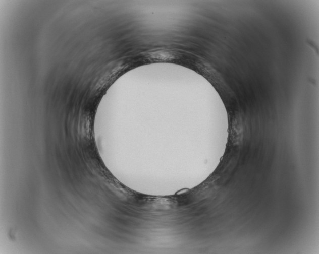 X0000102250330200808221358