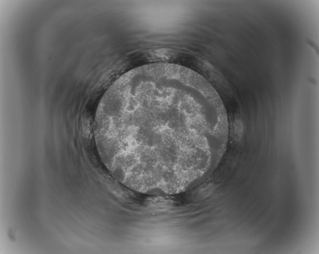 X0000102250331200808221358