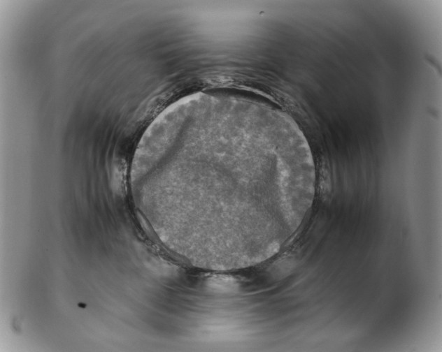 X0000102250332200808221358