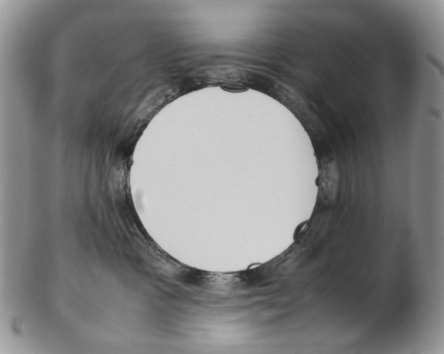 X0000102250333200808221358