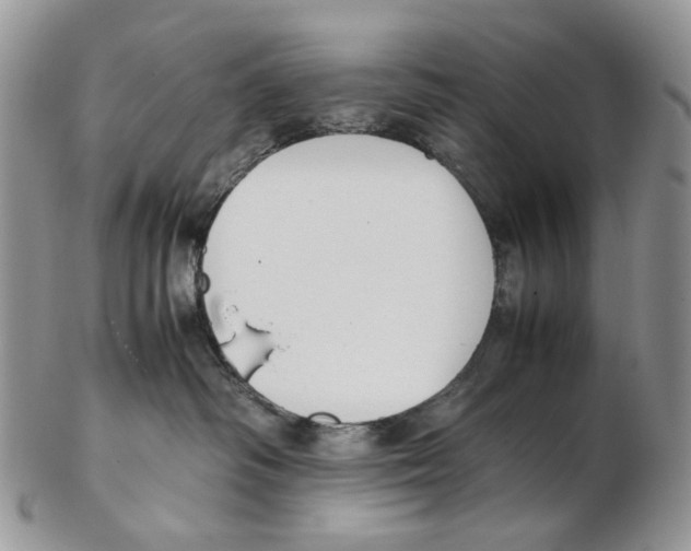 X0000102250334200808221358