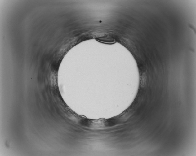 X0000102250335200808221358