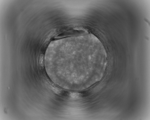 X0000102250336200808221358