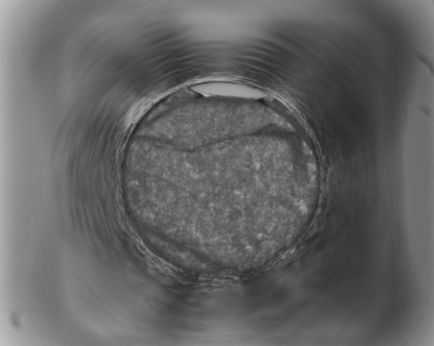 X0000102250337200808221358