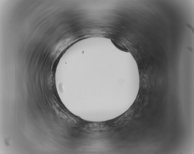 X0000102250338200808221358