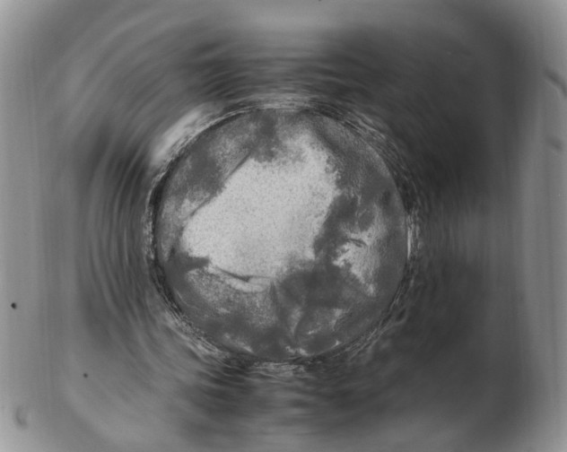 X0000102250339200808221358