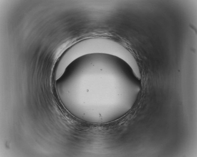 X0000102250340200808221358