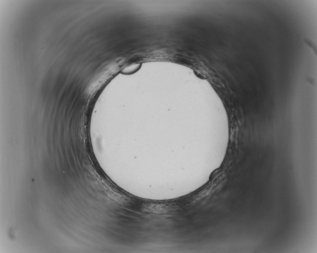 X0000102250341200808221358