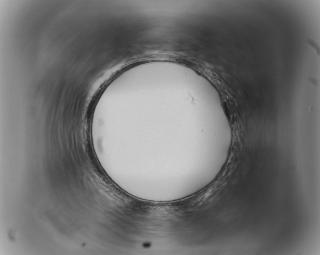 X0000102250342200808221358
