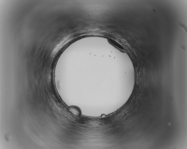 X0000102250344200808221358