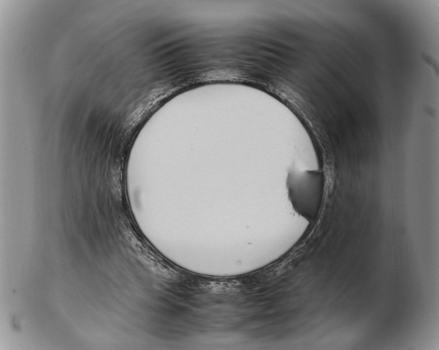 X0000102250345200808221358