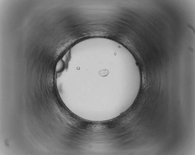X0000102250348200808221358