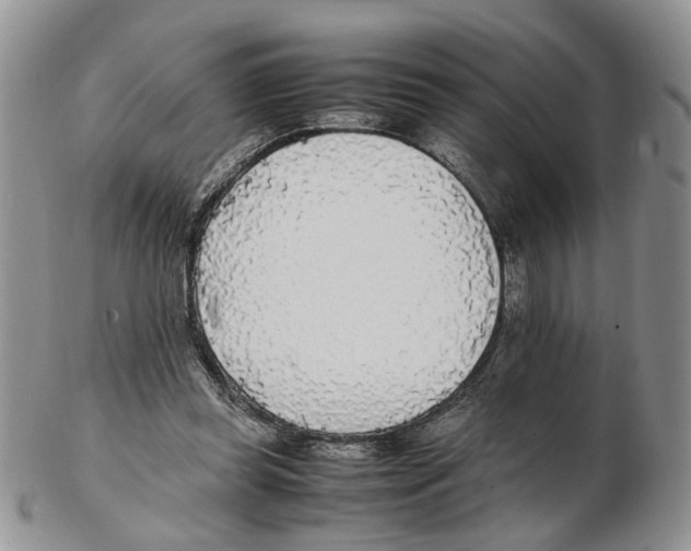 X0000102250349200808221358