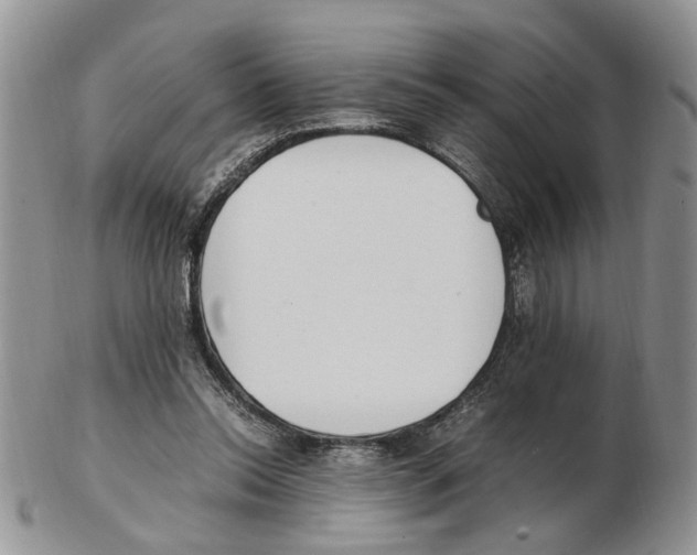 X0000102250350200808221358
