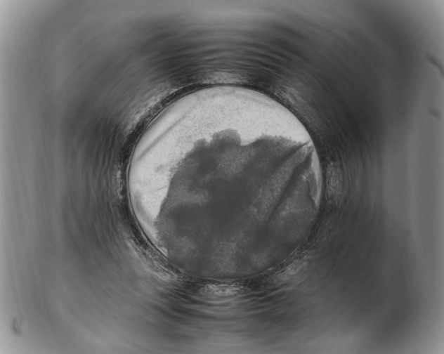X0000102250351200808221358