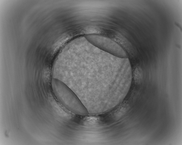 X0000102250352200808221358