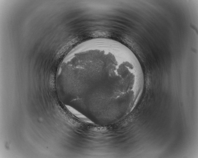 X0000102250353200808221358