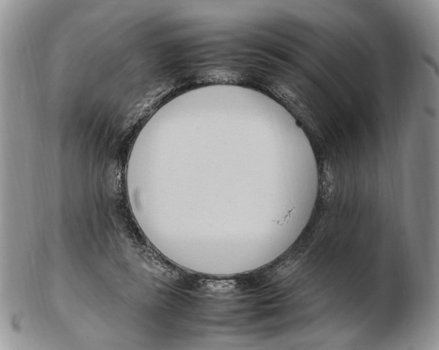 X0000102250355200808221358