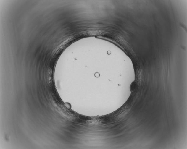 X0000102250356200808221358